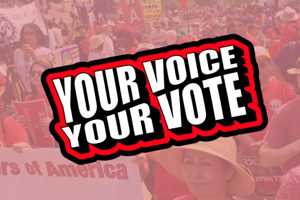 Your Voice Your Vote