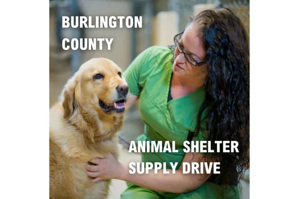 Animal shelter worker with golden retriever 